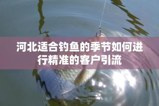 河北适合钓鱼的季节如何进行精准的客户引流