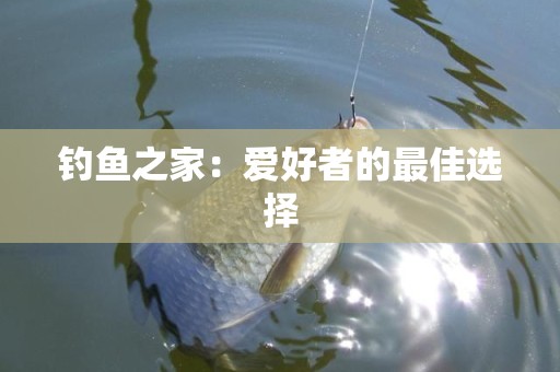 钓鱼之家：爱好者的最佳选择