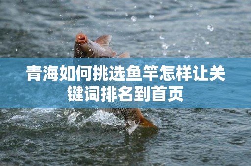 青海如何挑选鱼竿怎样让关键词排名到首页