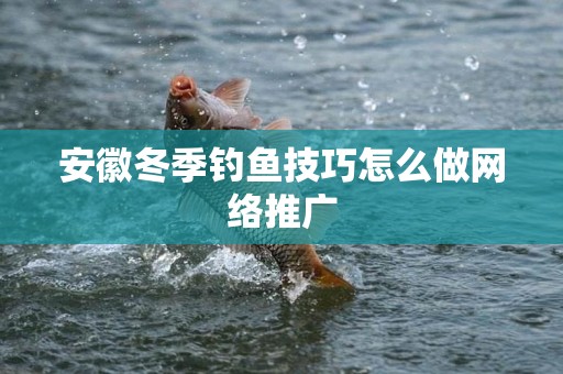 安徽冬季钓鱼技巧怎么做网络推广