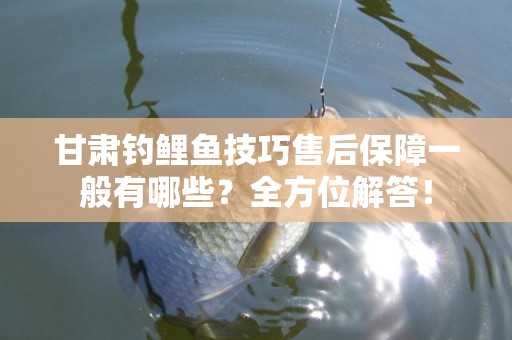 甘肃钓鲤鱼技巧售后保障一般有哪些？全方位解答！
