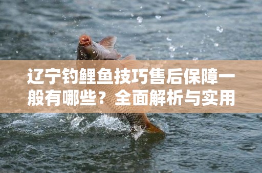 辽宁钓鲤鱼技巧售后保障一般有哪些？全面解析与实用指南