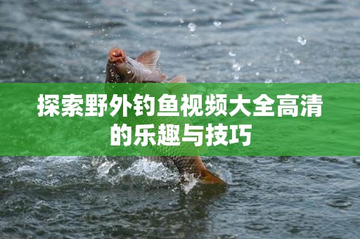 探索野外钓鱼视频大全高清的乐趣与技巧