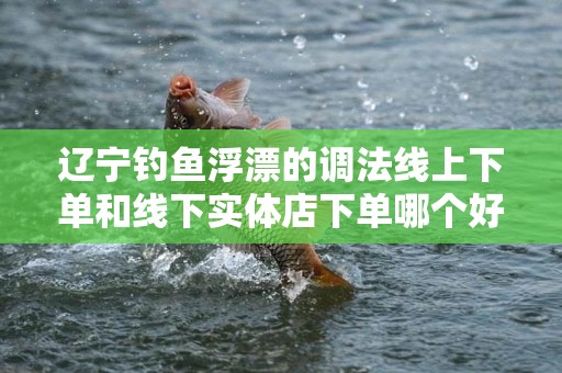辽宁钓鱼浮漂的调法线上下单和线下实体店下单哪个好？