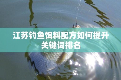 江苏钓鱼饵料配方如何提升关键词排名