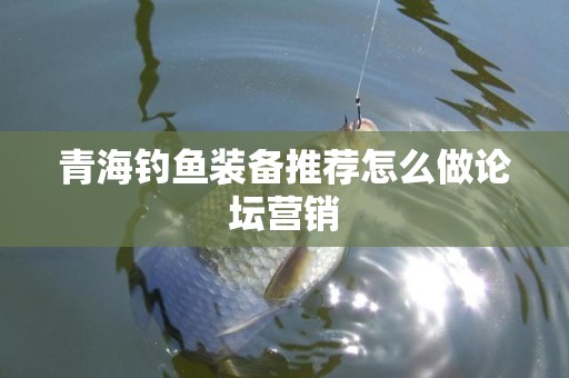 青海钓鱼装备推荐怎么做论坛营销