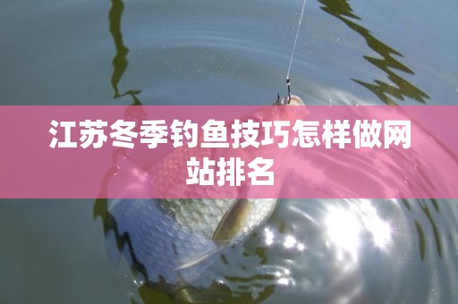 江苏冬季钓鱼技巧怎样做网站排名