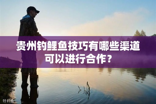 贵州钓鲤鱼技巧有哪些渠道可以进行合作？