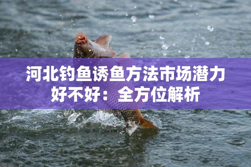 河北钓鱼诱鱼方法市场潜力好不好：全方位解析