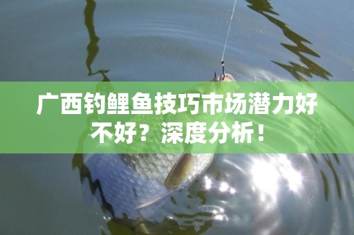 广西钓鲤鱼技巧市场潜力好不好？深度分析！