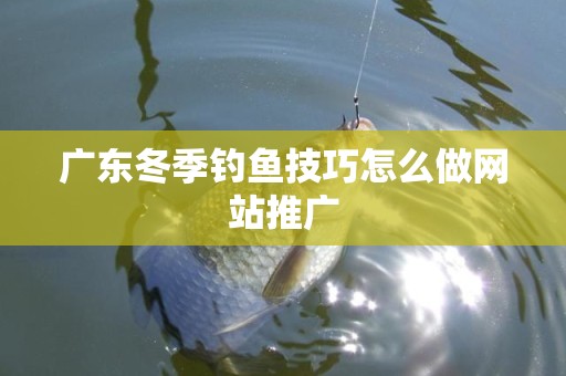 广东冬季钓鱼技巧怎么做网站推广