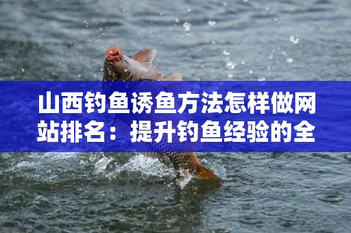 山西钓鱼诱鱼方法怎样做网站排名：提升钓鱼经验的全面指南
