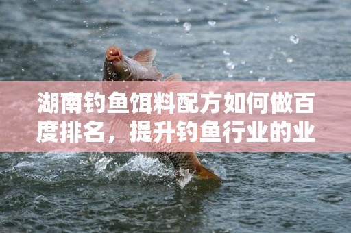 湖南钓鱼饵料配方如何做百度排名，提升钓鱼行业的业务潜力