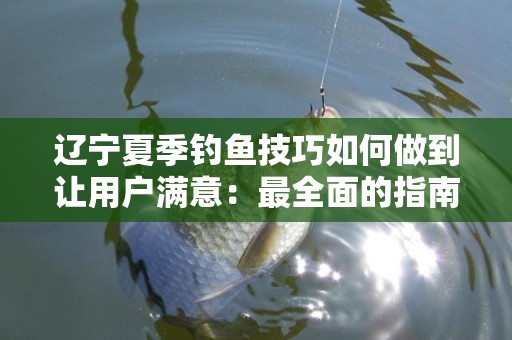 辽宁夏季钓鱼技巧如何做到让用户满意：最全面的指南