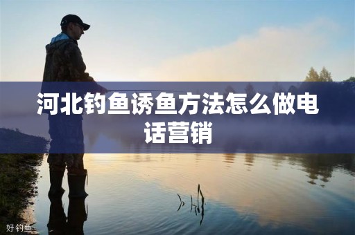 河北钓鱼诱鱼方法怎么做电话营销