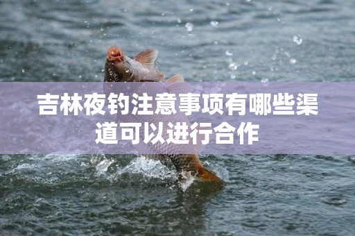 吉林夜钓注意事项有哪些渠道可以进行合作