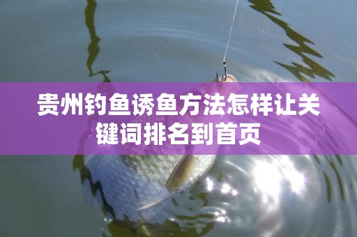 贵州钓鱼诱鱼方法怎样让关键词排名到首页
