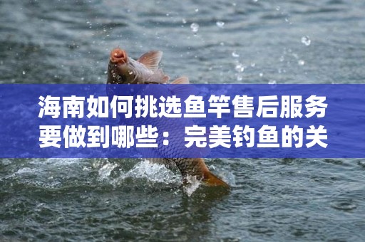 海南如何挑选鱼竿售后服务要做到哪些：完美钓鱼的关键
