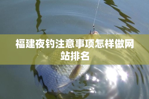 福建夜钓注意事项怎样做网站排名