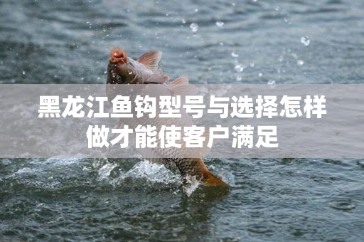 黑龙江鱼钩型号与选择怎样做才能使客户满足