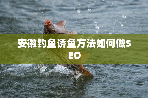 安徽钓鱼诱鱼方法如何做SEO
