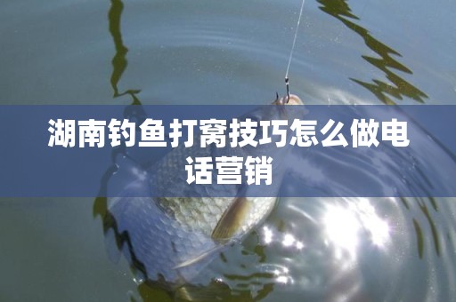 湖南钓鱼打窝技巧怎么做电话营销
