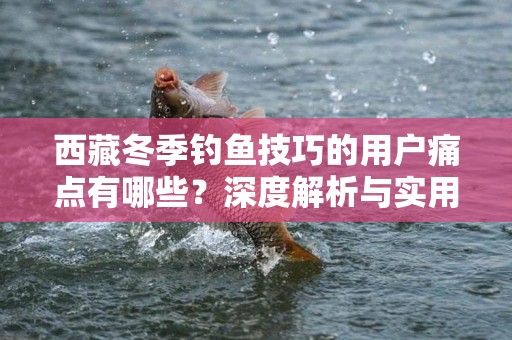 西藏冬季钓鱼技巧的用户痛点有哪些？深度解析与实用建议！