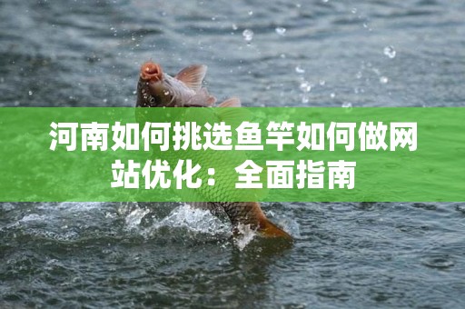 河南如何挑选鱼竿如何做网站优化：全面指南