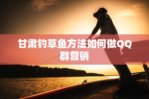 甘肃钓草鱼方法如何做QQ群营销