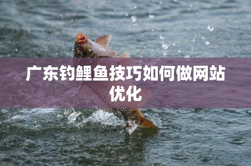 广东钓鲤鱼技巧如何做网站优化