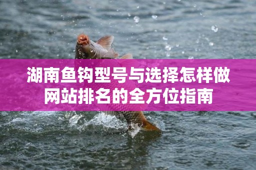 湖南鱼钩型号与选择怎样做网站排名的全方位指南