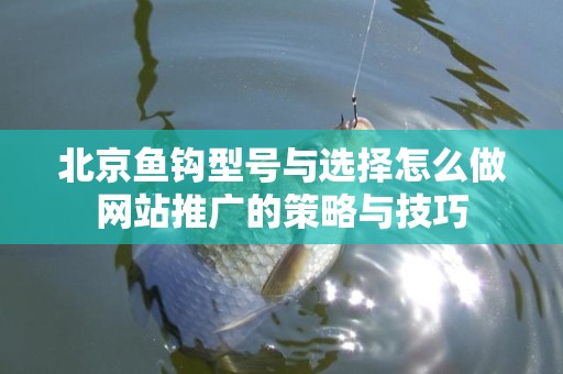 北京鱼钩型号与选择怎么做网站推广的策略与技巧