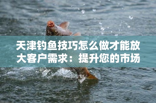 天津钓鱼技巧怎么做才能放大客户需求：提升您的市场竞争力