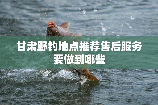 甘肃野钓地点推荐售后服务要做到哪些