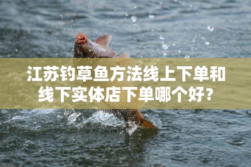 江苏钓草鱼方法线上下单和线下实体店下单哪个好？