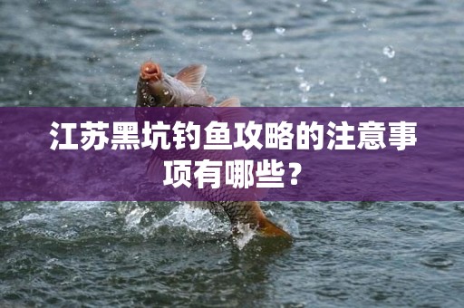江苏黑坑钓鱼攻略的注意事项有哪些？