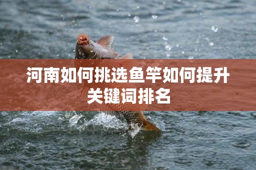 河南如何挑选鱼竿如何提升关键词排名