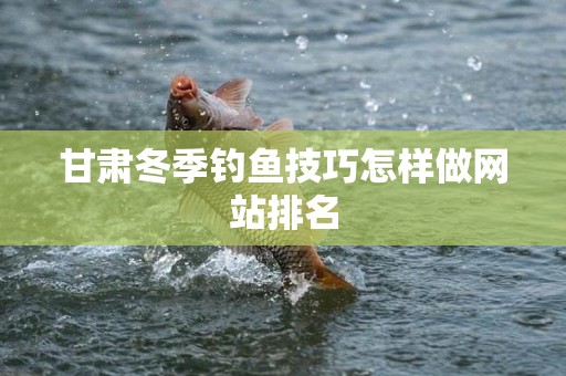 甘肃冬季钓鱼技巧怎样做网站排名