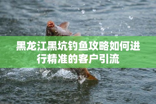 黑龙江黑坑钓鱼攻略如何进行精准的客户引流
