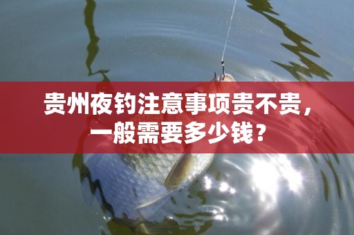 贵州夜钓注意事项贵不贵，一般需要多少钱？