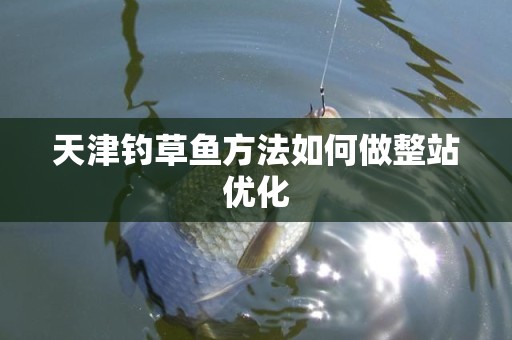 天津钓草鱼方法如何做整站优化