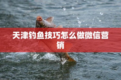 天津钓鱼技巧怎么做微信营销