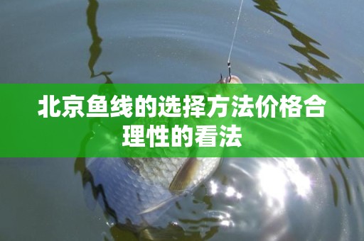 北京鱼线的选择方法价格合理性的看法