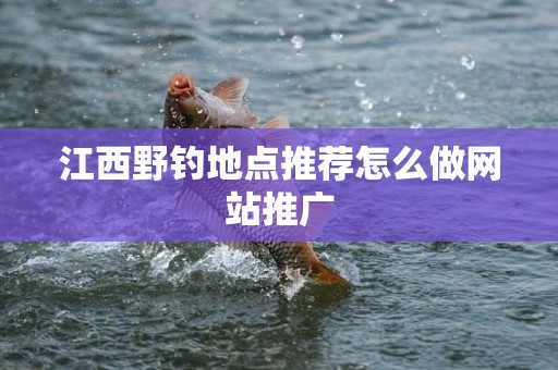 江西野钓地点推荐怎么做网站推广