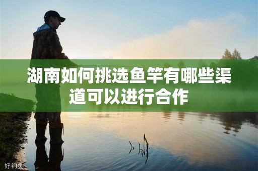 湖南如何挑选鱼竿有哪些渠道可以进行合作