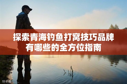 探索青海钓鱼打窝技巧品牌有哪些的全方位指南
