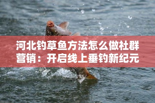 河北钓草鱼方法怎么做社群营销：开启线上垂钓新纪元