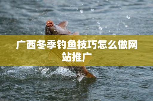 广西冬季钓鱼技巧怎么做网站推广