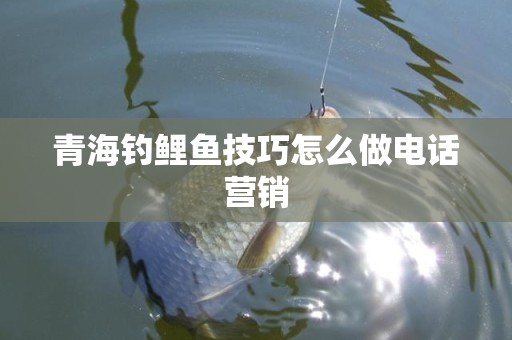 青海钓鲤鱼技巧怎么做电话营销