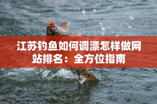 江苏钓鱼如何调漂怎样做网站排名：全方位指南